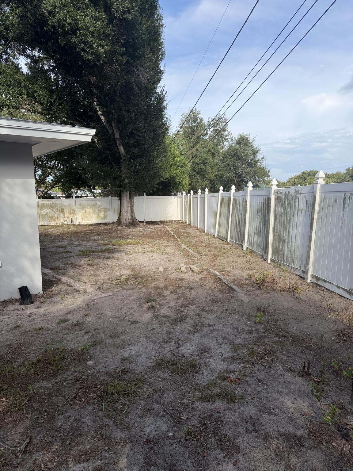 Property cleanout after