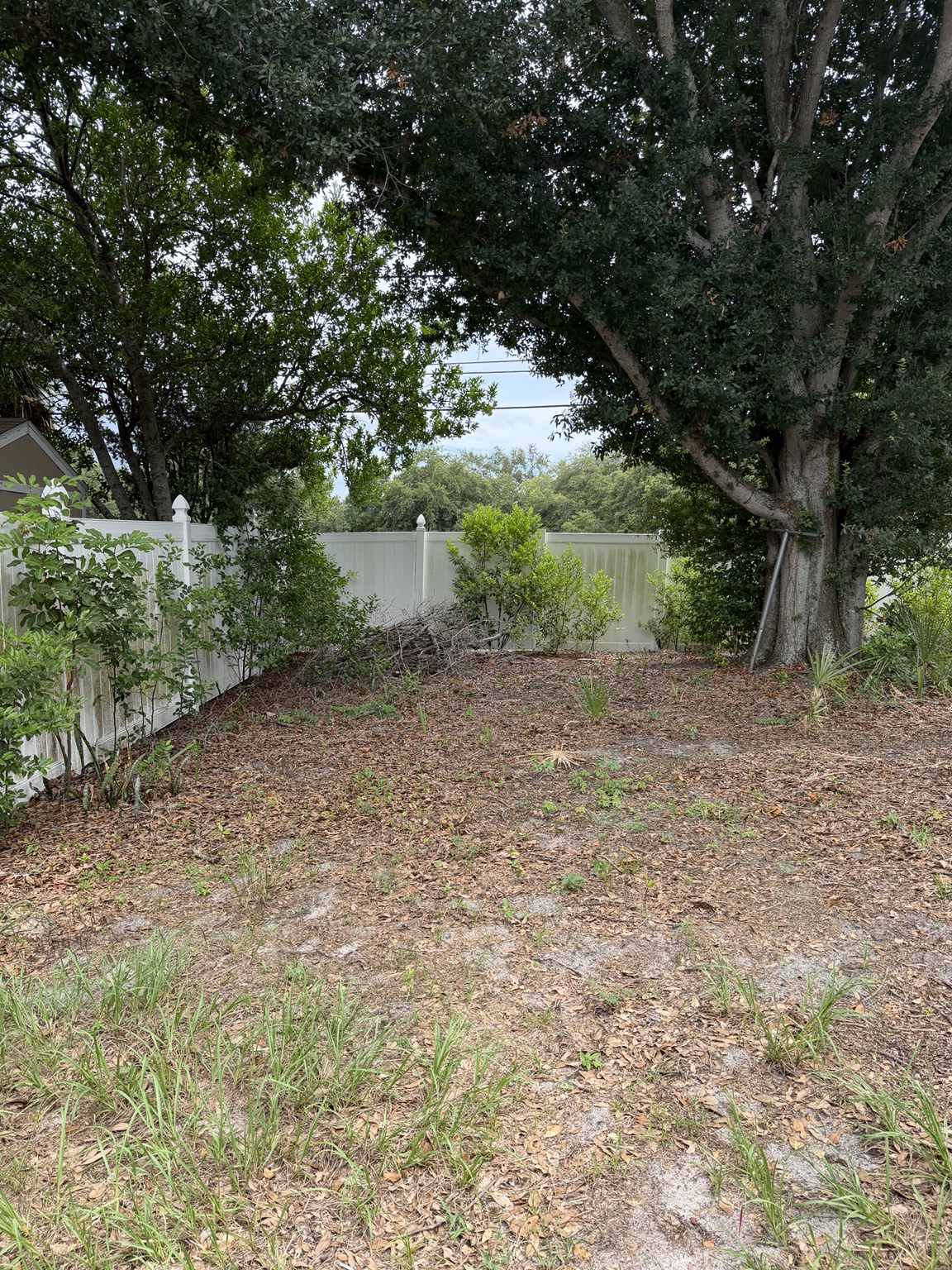 Property cleanout before